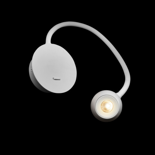 10254 White Настенный светильник LOFT IT Point фото 2 10254 White Настенный светильник LOFT IT Point фото 2