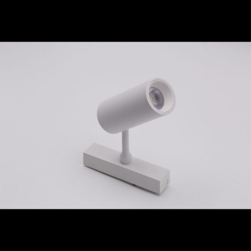 Светильник трековый APL.0116.11.10