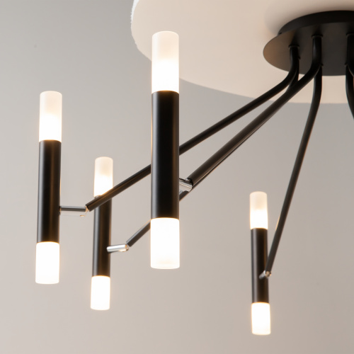 Потолочный светильник Maytoni MOD620CL-16B фото 8