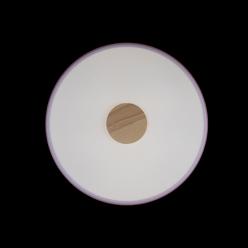 10003/24 Pink Потолочный светильник LOFT IT Axel фото 4 10003/24 Pink Потолочный светильник LOFT IT Axel фото 4