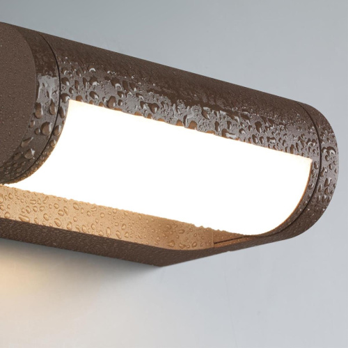 Настенный светильник Odeon Light NATURE 7118/12WL фото 6