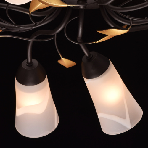 Люстра потолочная MW-Light Восторг 242015410 фото 2