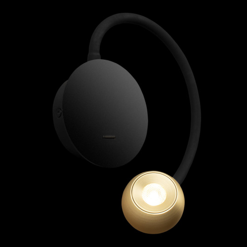 10254 Brass Настенный светильник LOFT IT Point фото 2