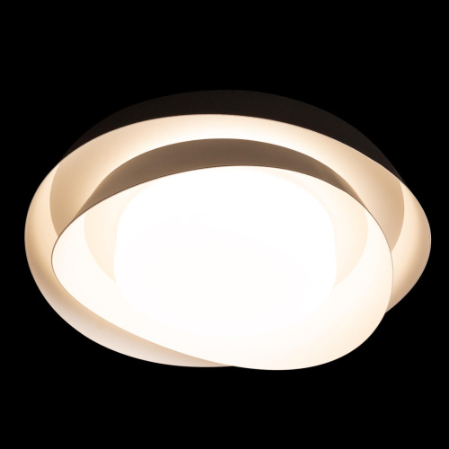 10256 Black Потолочный светильник LOFT IT Petale фото 3 10256 Black Потолочный светильник LOFT IT Petale фото 3