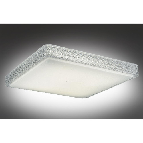 Люстра потолочная OML-47717-60 фото 3