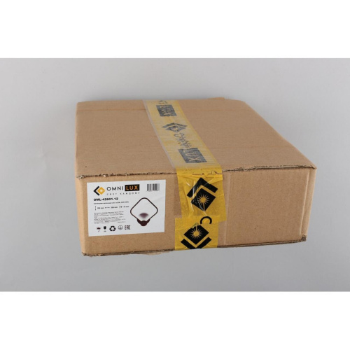 Светильник настенный (Бра) OML-42601-12 фото 2