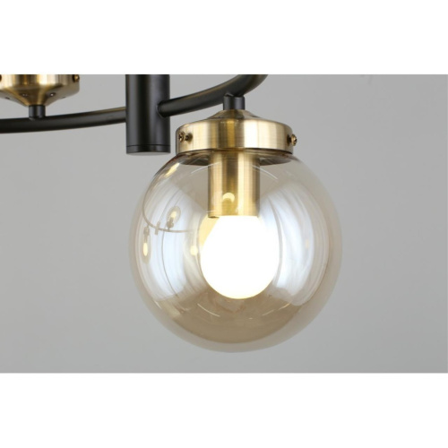 Люстра подвесная OML-94003-06 фото 3