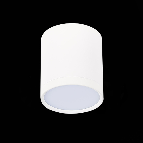 ST113.532.05 Светильник потолочный Белый LED 1*5W 3000K 390Lm Ra>90 120° IP20 D68xH75 170-240V Накладные светильники фото 4
