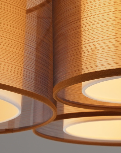 Светильник потолочный Moderli V10623-3C Room фото 4