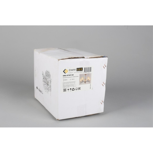 Люстра потолочная OML-67307-05 фото 9