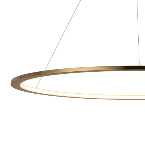 10014L Подвесной светильник LOFT IT Ring фото 6