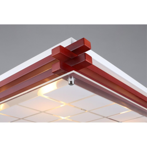 Светильник настенно-потолочный OML-40527-05 фото 6 Светильник настенно-потолочный OML-40527-05 фото 6