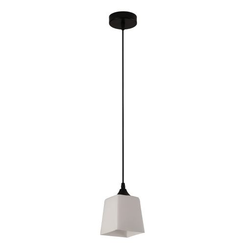 Подвесной светильник 160003/1P E27*60W Black фото 2