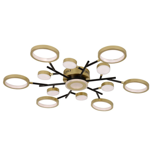 Потолочный светодиодный светильник F-Promo Hybrid 4686-13C фото 7