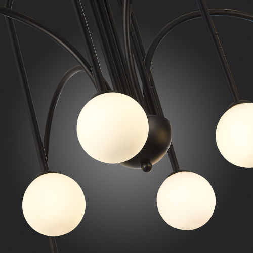 SL1204.402.08 Люстра потолочная ST-Luce Черный/Белый G9 8*5W JINETO фото 9