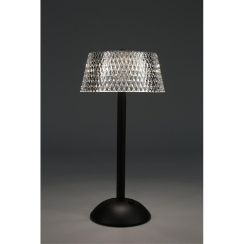 Настольная лампа OML-40104-01 фото 5