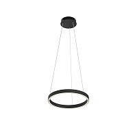 Подвесной светильник Maytoni MOD058PL-L22BK