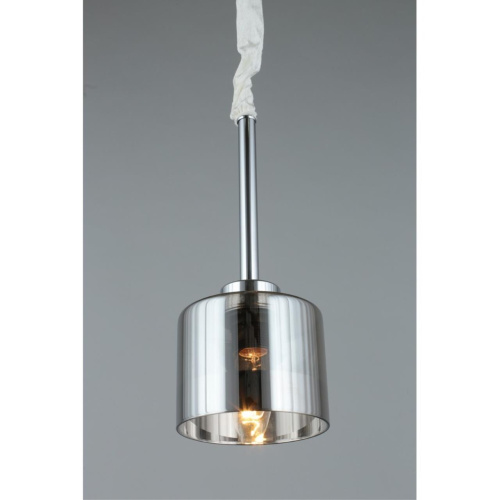 Светильник подвесной OML-55806-01 фото 6