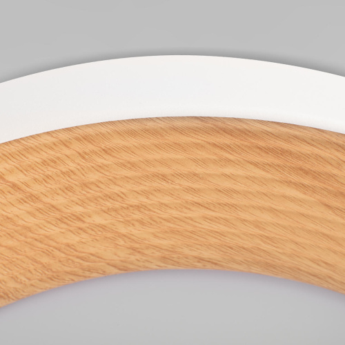 10255/500 White Потолочный светильник LOFT IT Folk фото 4 10255/500 White Потолочный светильник LOFT IT Folk фото 4