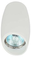 Накладной светильник ЭРА OL20 WH Б0054390
