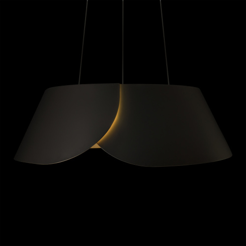 10370P Black Подвесной светильник LOFT IT Lane фото 8 10370P Black Подвесной светильник LOFT IT Lane фото 8