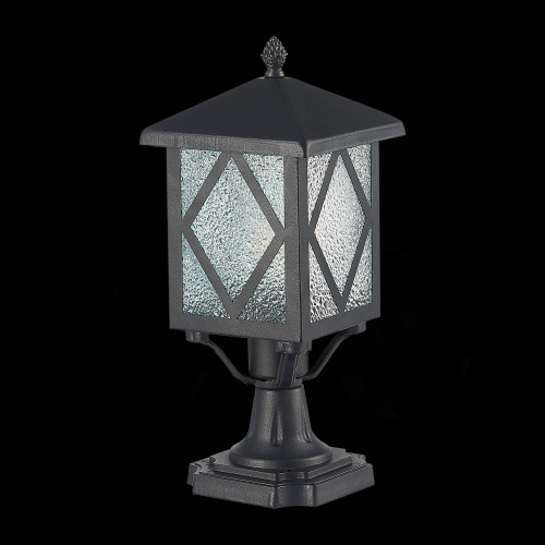 SL084.405.01 Светильник уличный наземный ST-Luce Черный/Черный, Прозрачный E27 1*60W LORNE фото 5