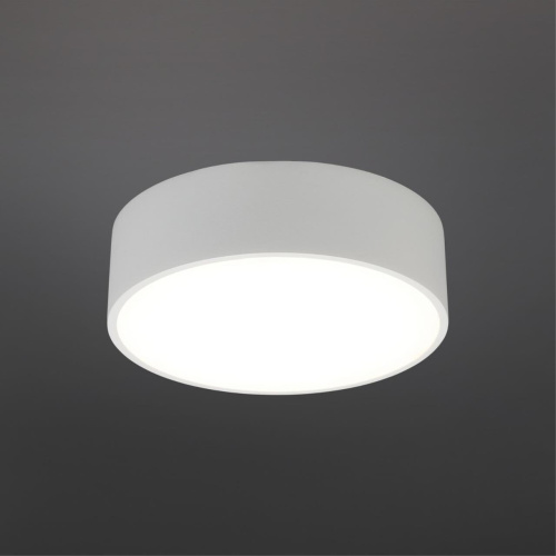 Светильник настенно-потолочный APL.0114.09.12 фото 3 Светильник настенно-потолочный APL.0114.09.12 фото 3