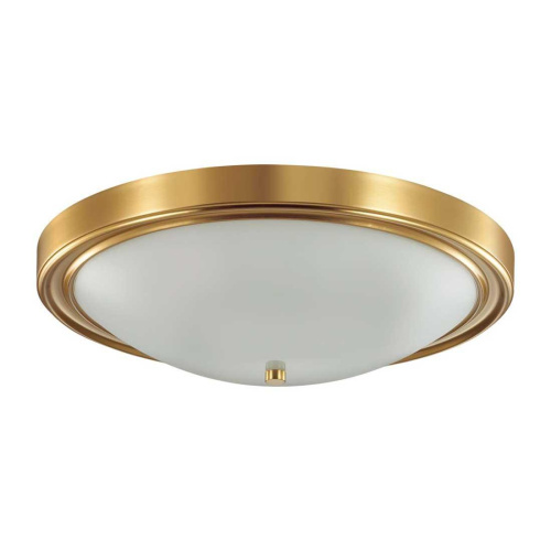 Настенно-потолочный светильник Lumion Vintage Nina 5259/4C