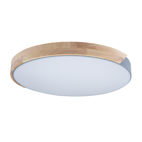 10004/36 Grey Потолочный светильник LOFT IT Axel фото 4