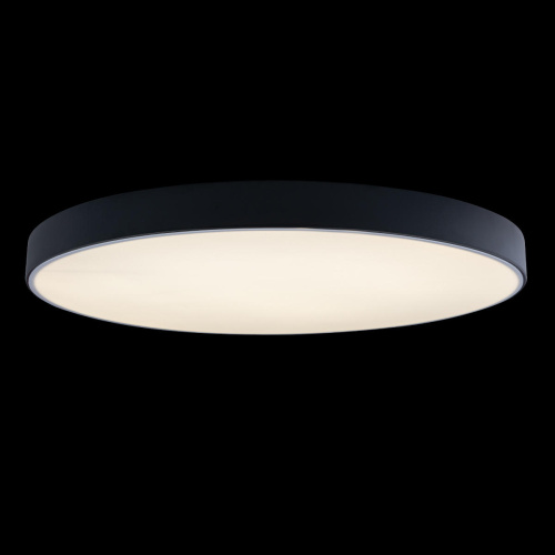 10002/48 Black Потолочный светильник LOFT IT Axel фото 2