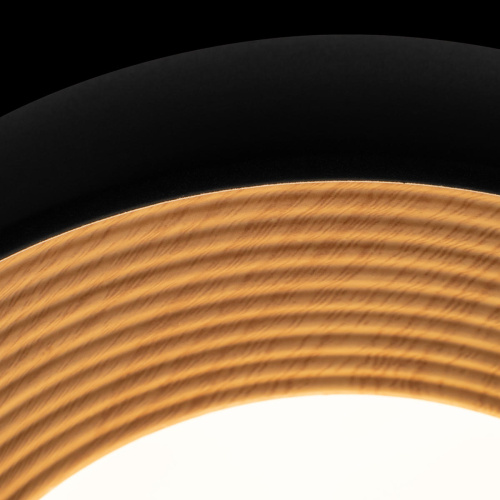 10255/350 Black Потолочный светильник LOFT IT Folk фото 6 10255/350 Black Потолочный светильник LOFT IT Folk фото 6