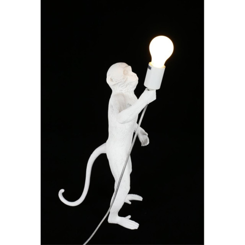 Настольная лампа APL.309.04.01 фото 15