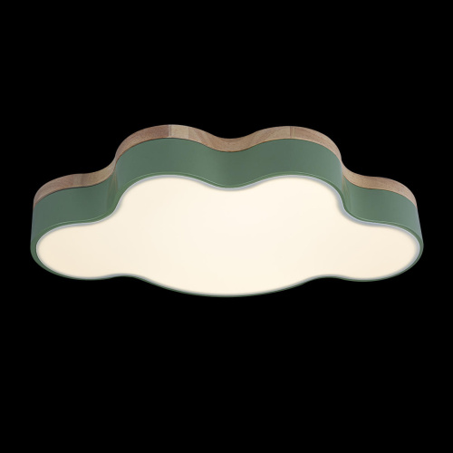 10005/30 Green Потолочный светильник LOFT IT Axel фото 5 10005/30 Green Потолочный светильник LOFT IT Axel фото 5