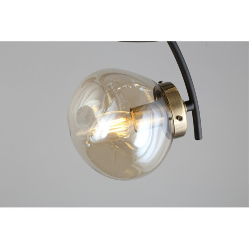 Люстра потолочная OML-95307-08 фото 8