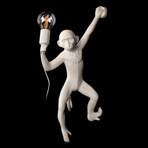 10314W/A Настенный светильник LOFT IT Monkey фото 6 10314W/A Настенный светильник LOFT IT Monkey фото 6