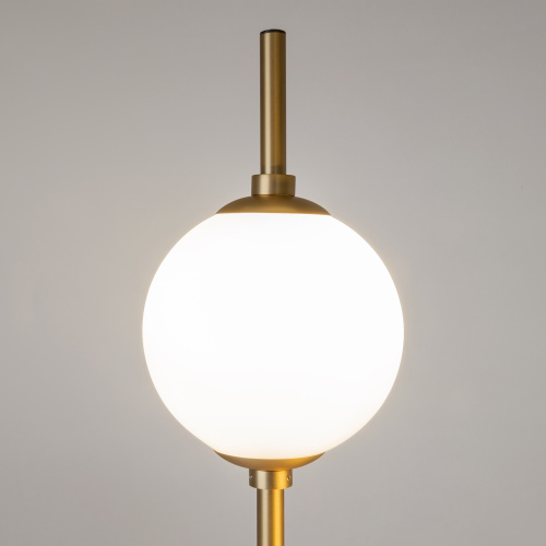 Напольный светильник (торшер) Maytoni Z020FL-L12BS3K фото 12