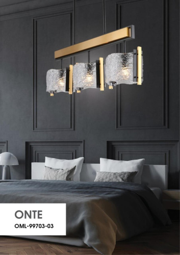 Светильник подвесной OML-99703-03 фото 4