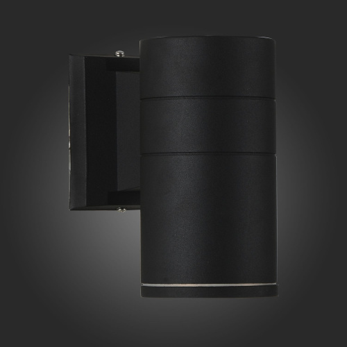 SL561.401.01 Светильник уличный настенный ST-Luce Черный/Черный LED 1*5W 4000K TUBO фото 2