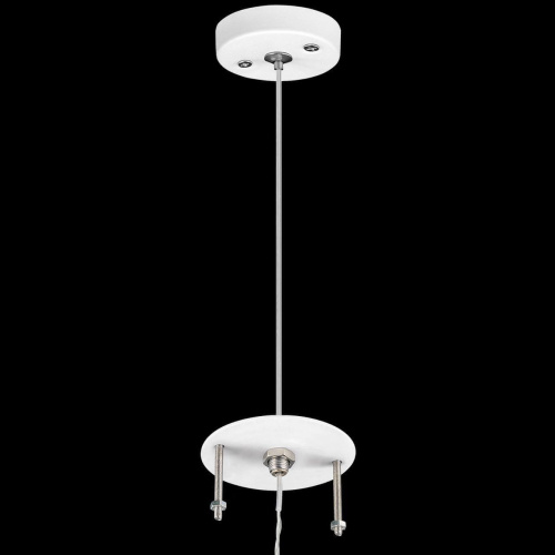 Подвес Lightstar Rullo 590086 фото 3