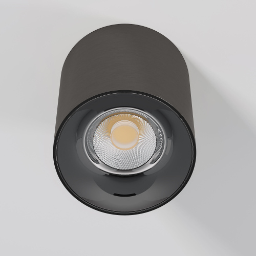 Светильник потолочный светодиодный Primo 12W 4000K титан 25116/LED фото 3