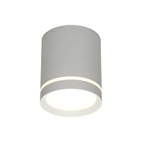 Светильник настенно-потолочный OML-102429-05