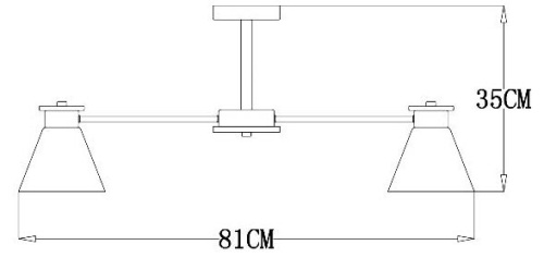 Потолочная люстра Arte Lamp Tyler A1031PL-8WH фото 2
