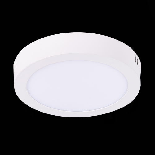 ST112.532.12 Светильник настенно-потолочный Белый LED 1*12W 3000K 715Lm Ra80 120° IP20 D160xH28 90-2 Накладные светильники фото 4