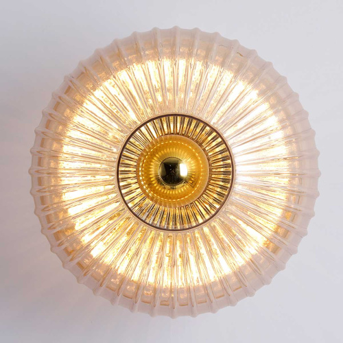 Бра Lussole LSP-5051 фото 2