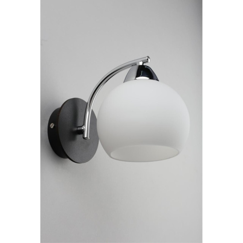 Светильник настенный (Бра) OML-25401-01 фото 4 Светильник настенный (Бра) OML-25401-01 фото 4