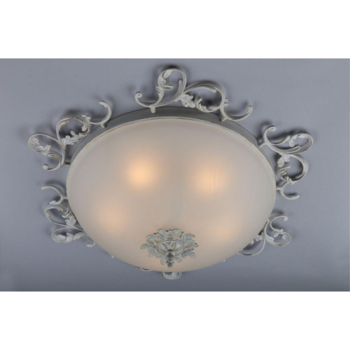 Люстра потолочная OML-76517-05 фото 3