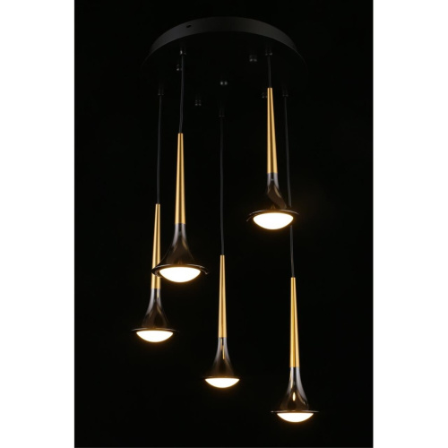 Люстра подвесная APL.784.06.05 фото 8