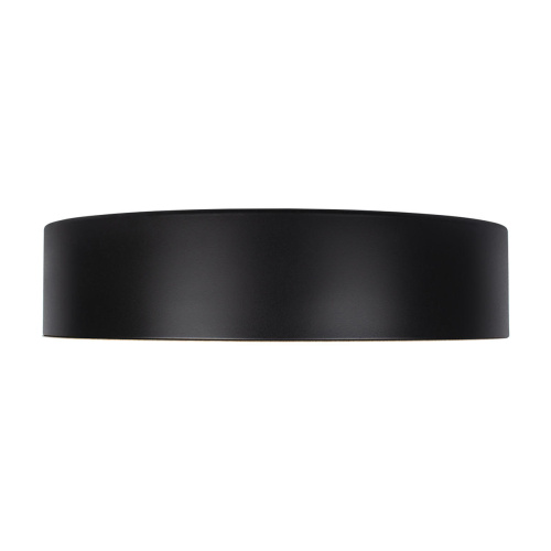 10202 Black Потолочный светильник LOFT IT Coin фото 5 10202 Black Потолочный светильник LOFT IT Coin фото 5