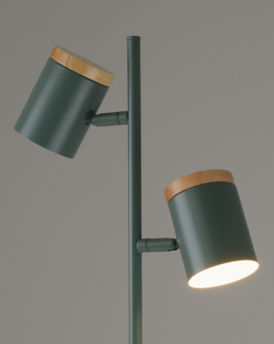 Торшер Moderli V11290-2F Asheswood фото 4 Торшер Moderli V11290-2F Asheswood фото 4