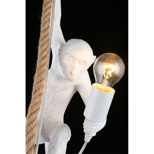 Светильник подвесной APL.309.06.01 фото 15